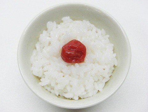 rice-g5013b9772_640