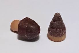 ダウンロード (16)