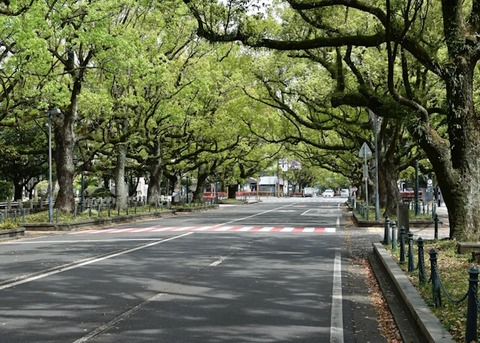 【悲報】道路交通法の改悪ヤバすぎる