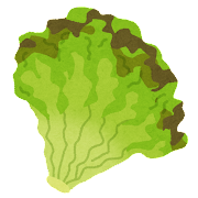 vegetable_sunny_lettuce