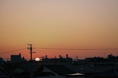 【悲報】夏、消滅…