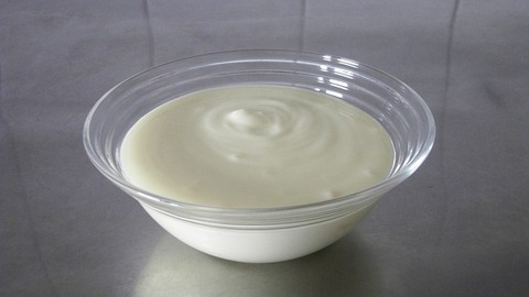 yogurt-g811cf9167_640