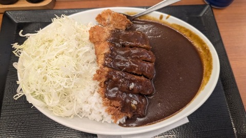 【朗報】かつや、うっかりこのクオリティのカツカレーを840,円で出してしまう