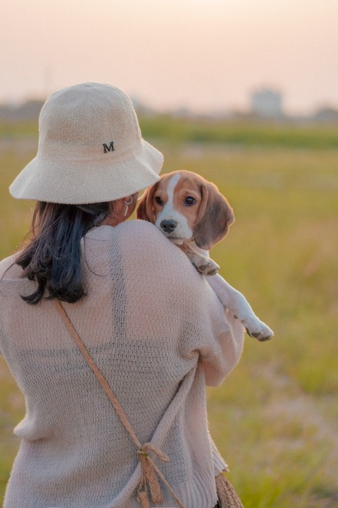 tuyen-vo-OXRFJa9usVo-unsplash