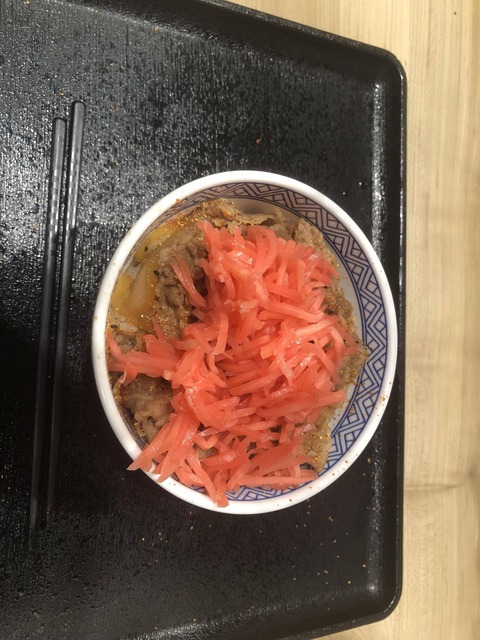 牛丼に山ほど紅しょうが乗っけるのってこのぐらいでいいか？