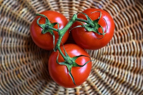 tomato-3520004_640