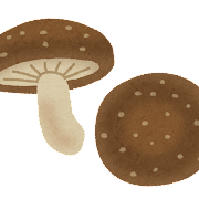 kinoko_shiitake