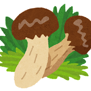 matsutake