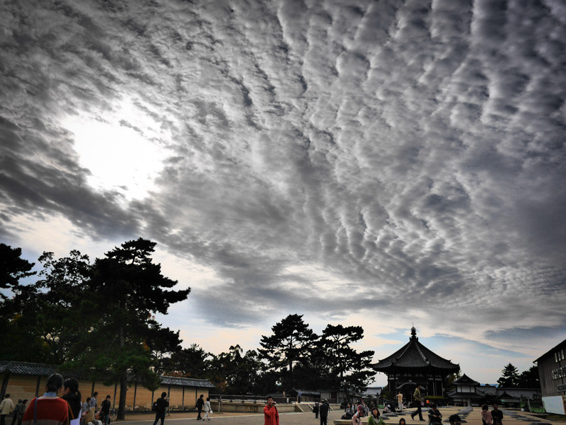 NARA_PARK-7