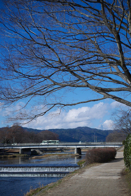 KAMOGAWA_BIRDS-1