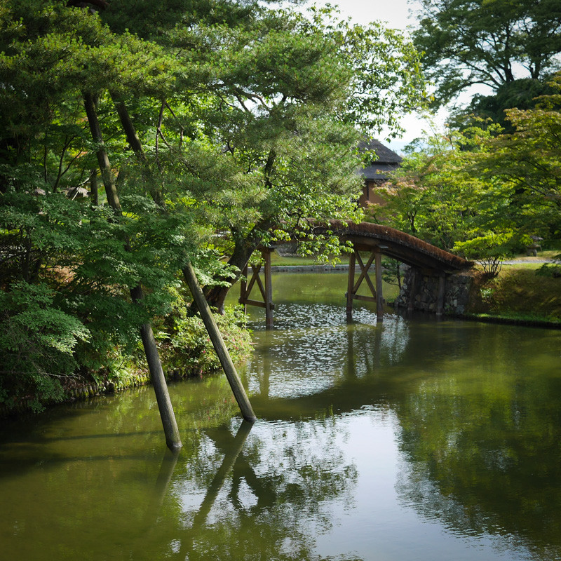 KATSURA-RIKYU-6