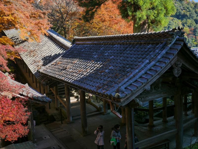 HASEDERA_NARA-4