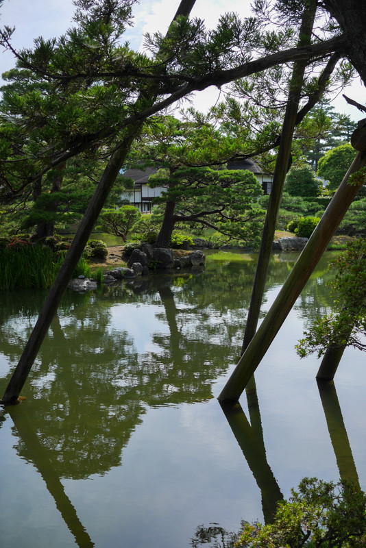 KATSURA-RIKYU-8