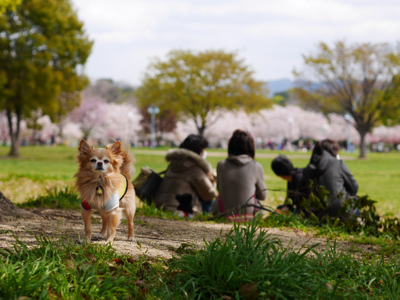 TSURUMI_GREENPARK-2