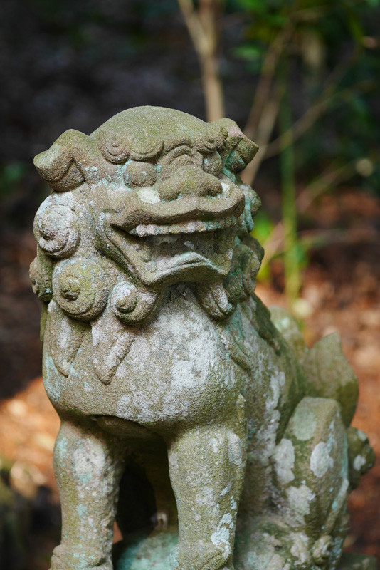 HATSUSE_KOMAINU-2