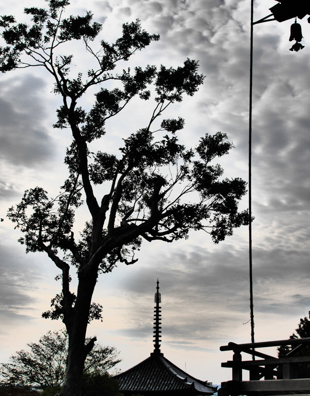 NARA_PARK-8