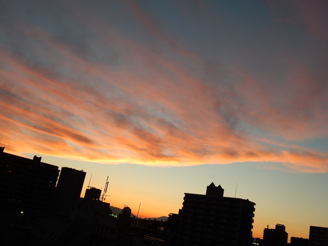 DSCN5745