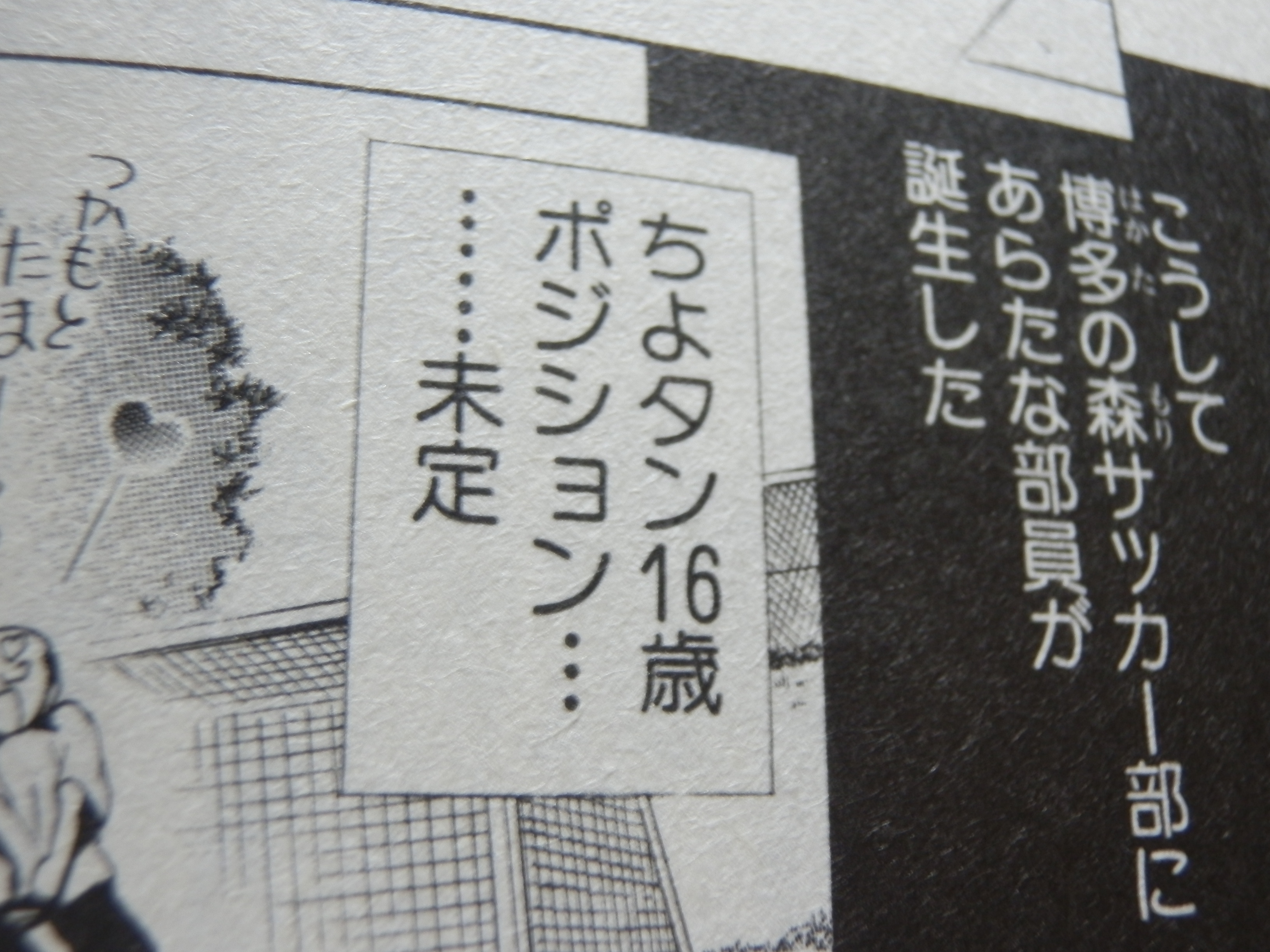 幻のアビスパマンガ あみーご あみーが レビュー 俺の部屋では 花は枯れない