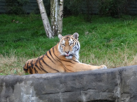 Hagenbecks Tierpark 2