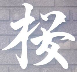 ２０２５０８２６ダンスホール　桜-000