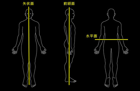 垂直軸