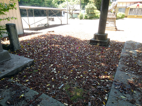 ２０２５０４２９一言主神社-02