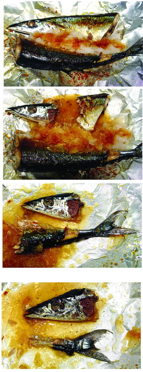 秋刀魚(1)