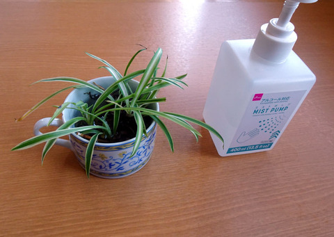 ２０２５０１１６-12