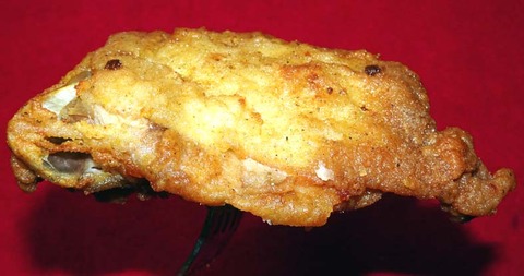 ２０２５１０ＫＦＣ-03