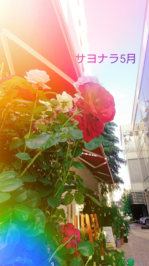 1be633cd.jpg