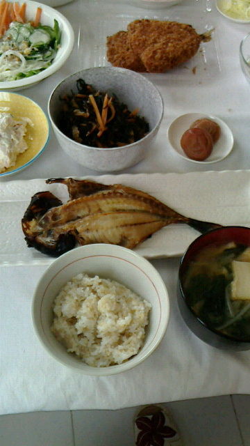 1fc05987.jpg