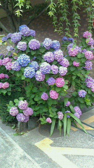 c0a0b065.jpg