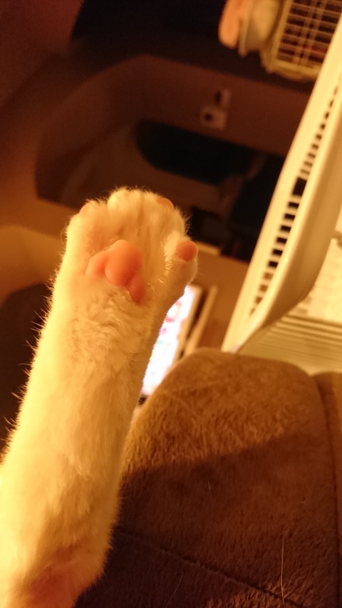 c9707142.jpg