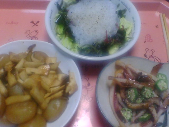 リセットダイエット5日目 空白の種