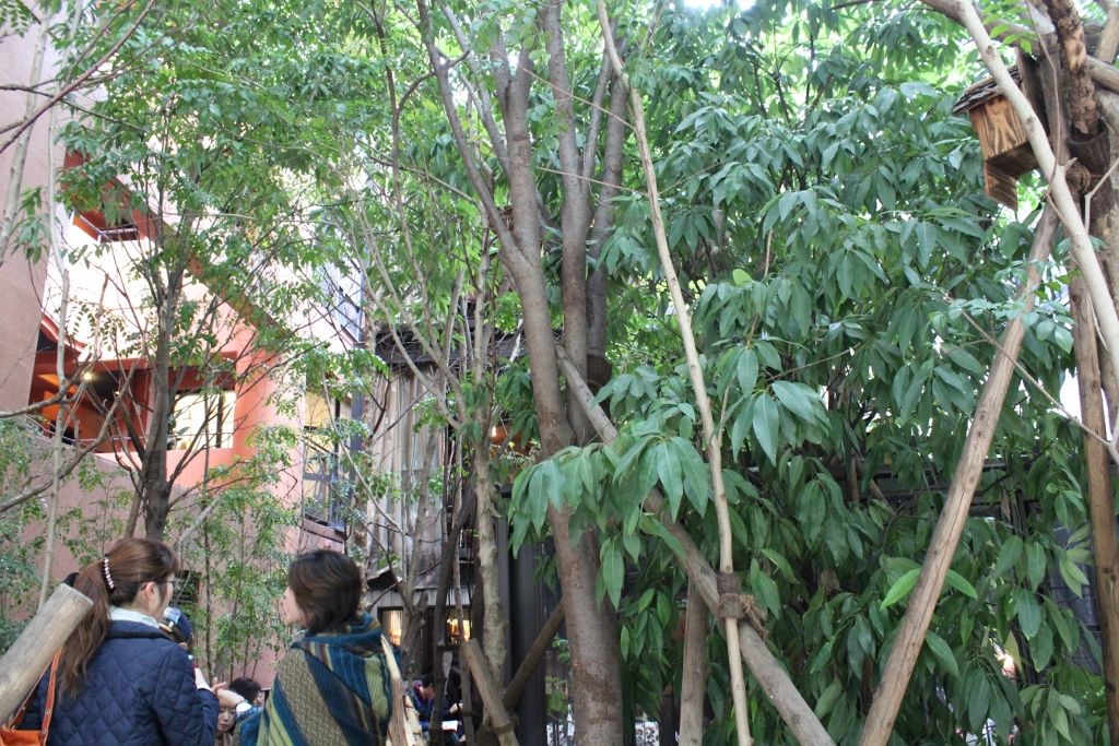 三宮 グリーンハウスシルバ でランチ うろうろうろこ もーっとうろうろ