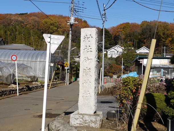 20101221001