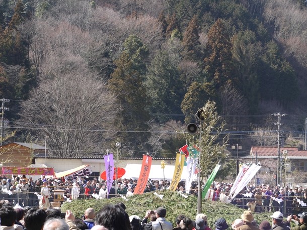 20110313004