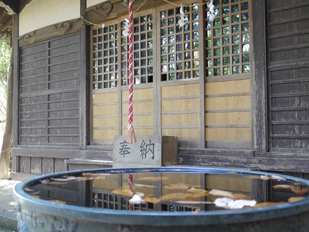 20101221012