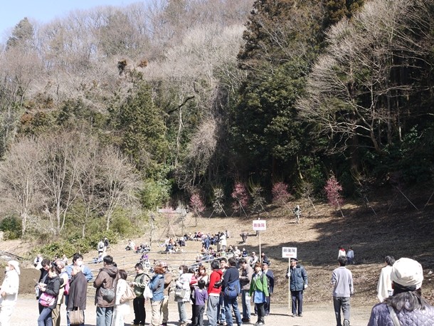 20110313002