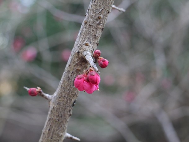 20110131_2_008