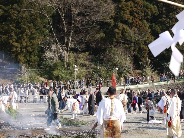 20110313019