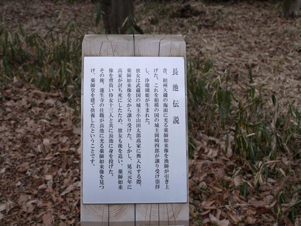 20110131_2_024