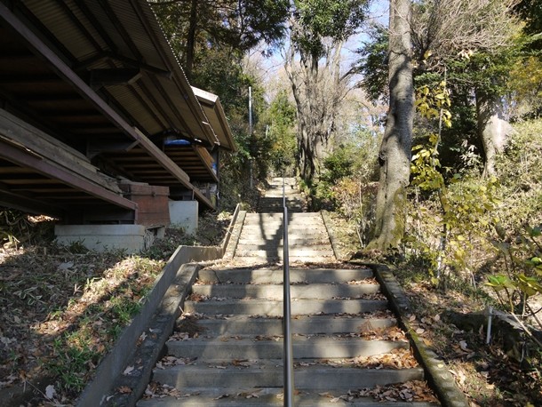 20101221004