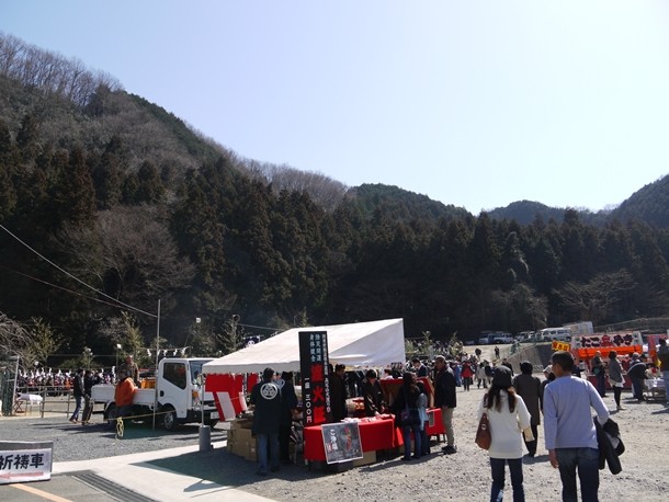20110313001