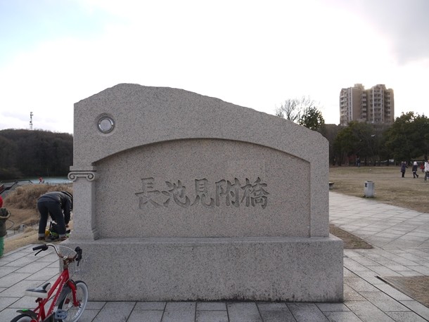 20110131_2_021