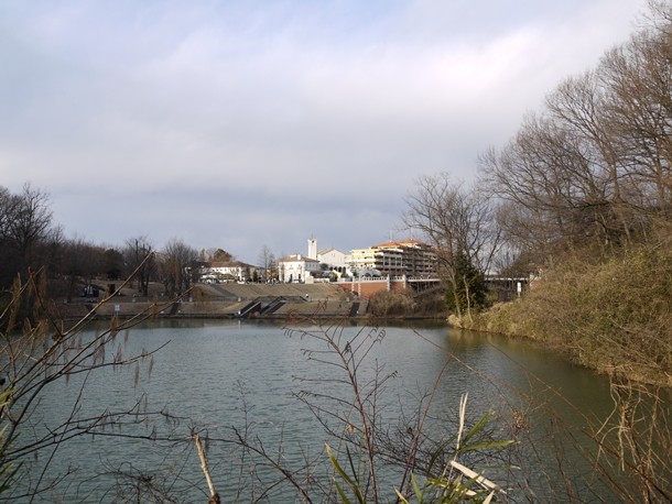 20110131_2_011