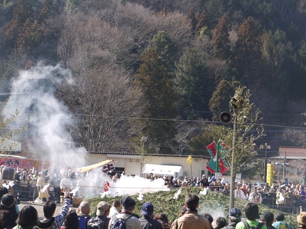 20110313005