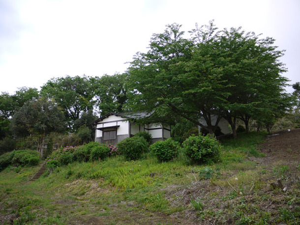 P1090950