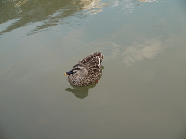 20110131_2_022