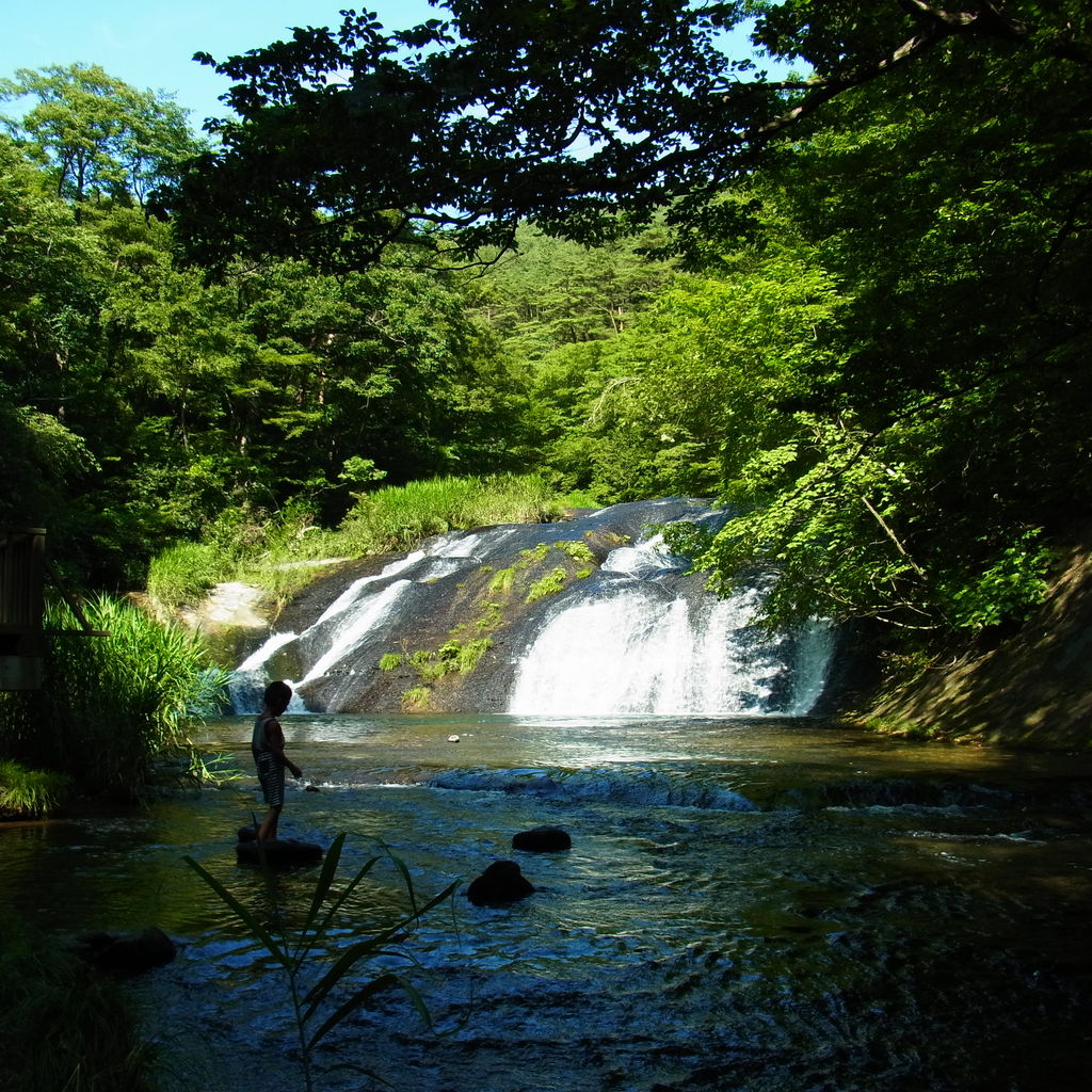 涼しげな夏画像どーん 残業日記